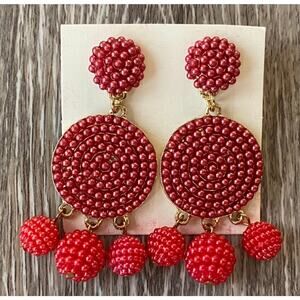 Red Seed Bead Beaded Statement Earrings